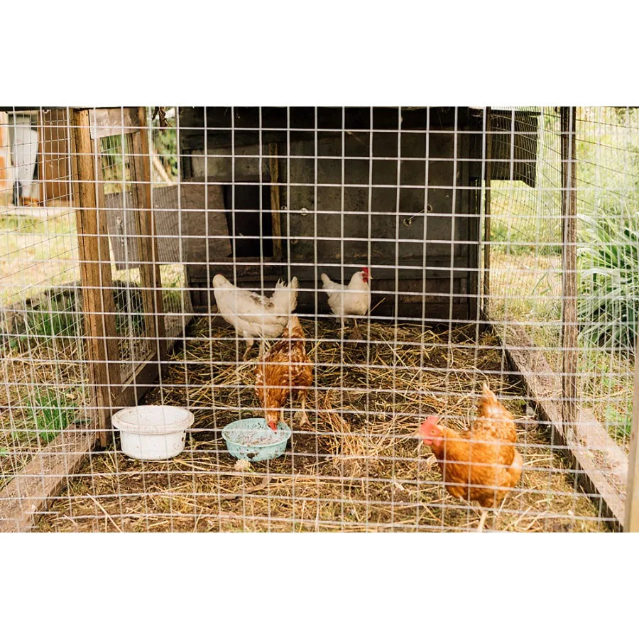 Hardware Cloth 1 4 inch 36in x 100ft 23 Gauge Hotdip Galvanized After Welding Chicken Wire Fence Roll Garden Plant Welded Metal