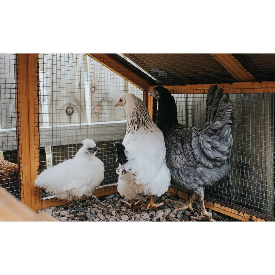 Hardware Cloth 1 4 inch 36in x 100ft 23 Gauge Hotdip Galvanized After Welding Chicken Wire Fence Roll Garden Plant Welded Metal